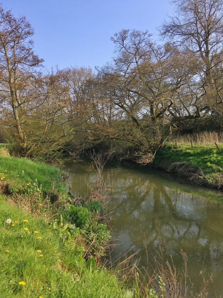 april-river-walk-sussex-trout-fishing-and-devon