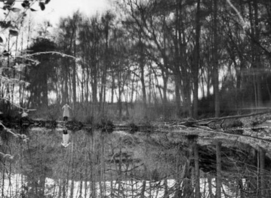 littlebognormillpond