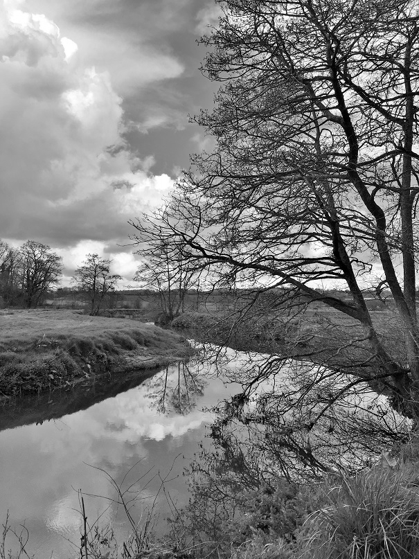 IMG_3496bwsmall