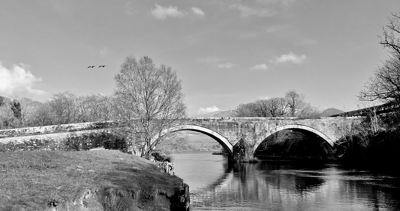 IMG_3519bwsmall