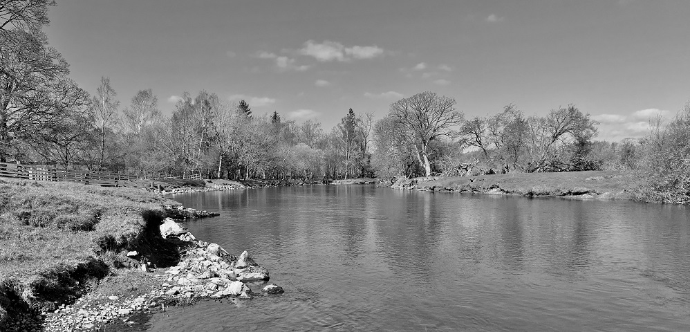 IMG_3712bwsmall