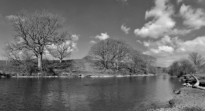 IMG_3745bwsmall