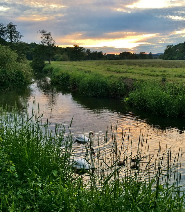IMG_4802asmall