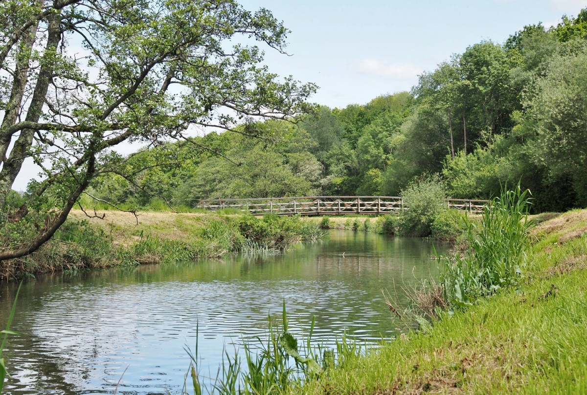21 May – River Rother – Sussex Trout Fishing … and Devon